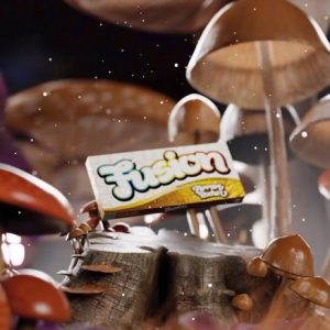 fusion mushroom bars