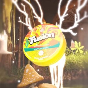 Fusion mushroom gummies